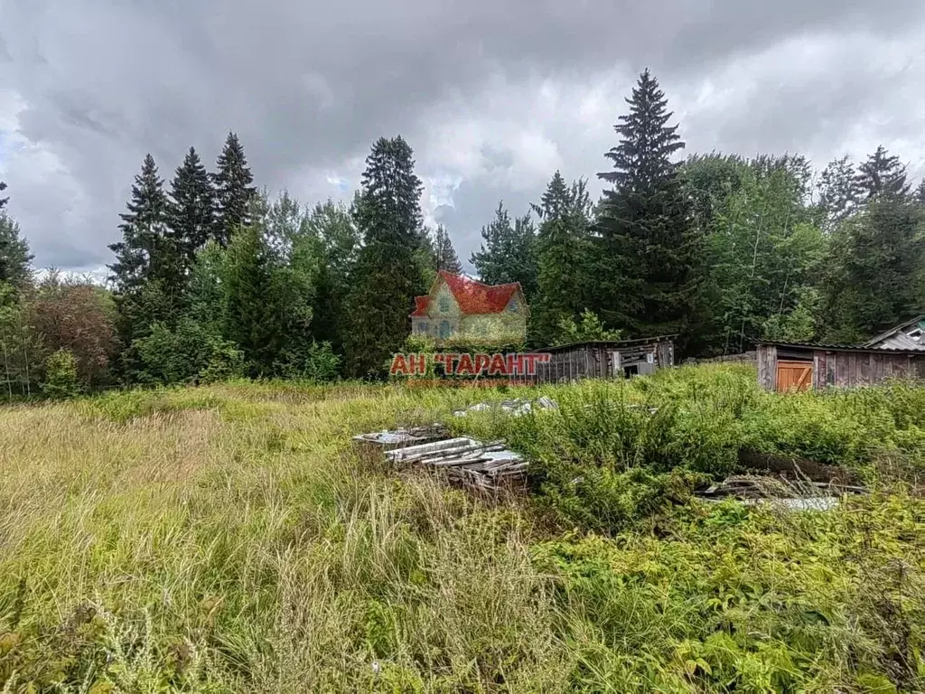 Участок в Владимирская область, Александровский муниципальный округ, ... - Фото 1