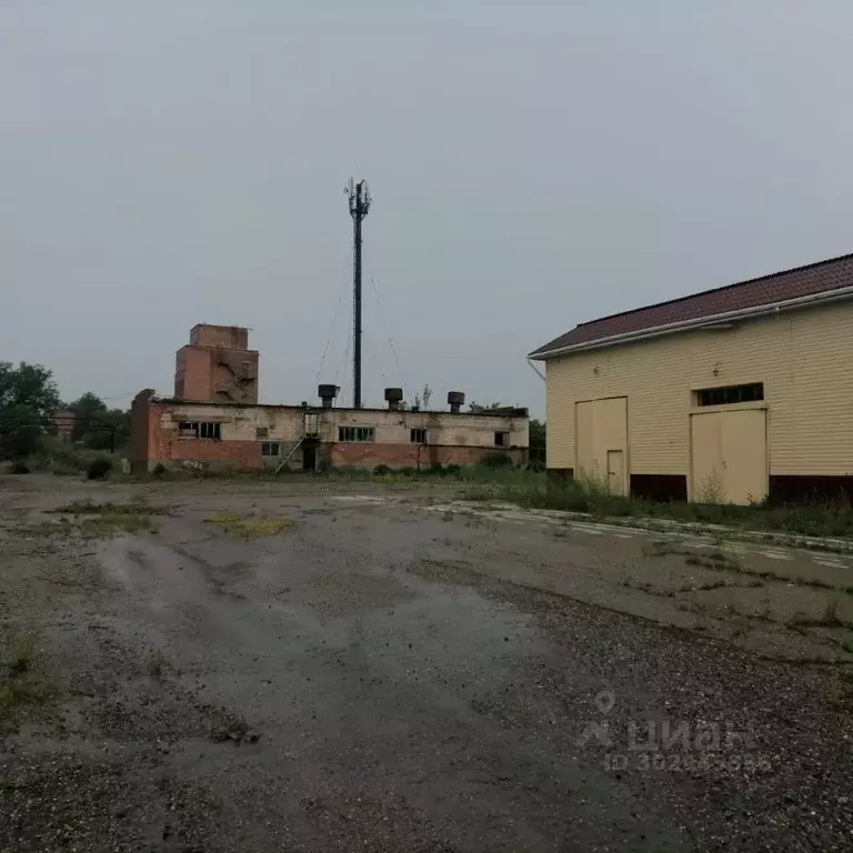 Производственное помещение в Ставропольский край, Грачевский ... - Фото 1