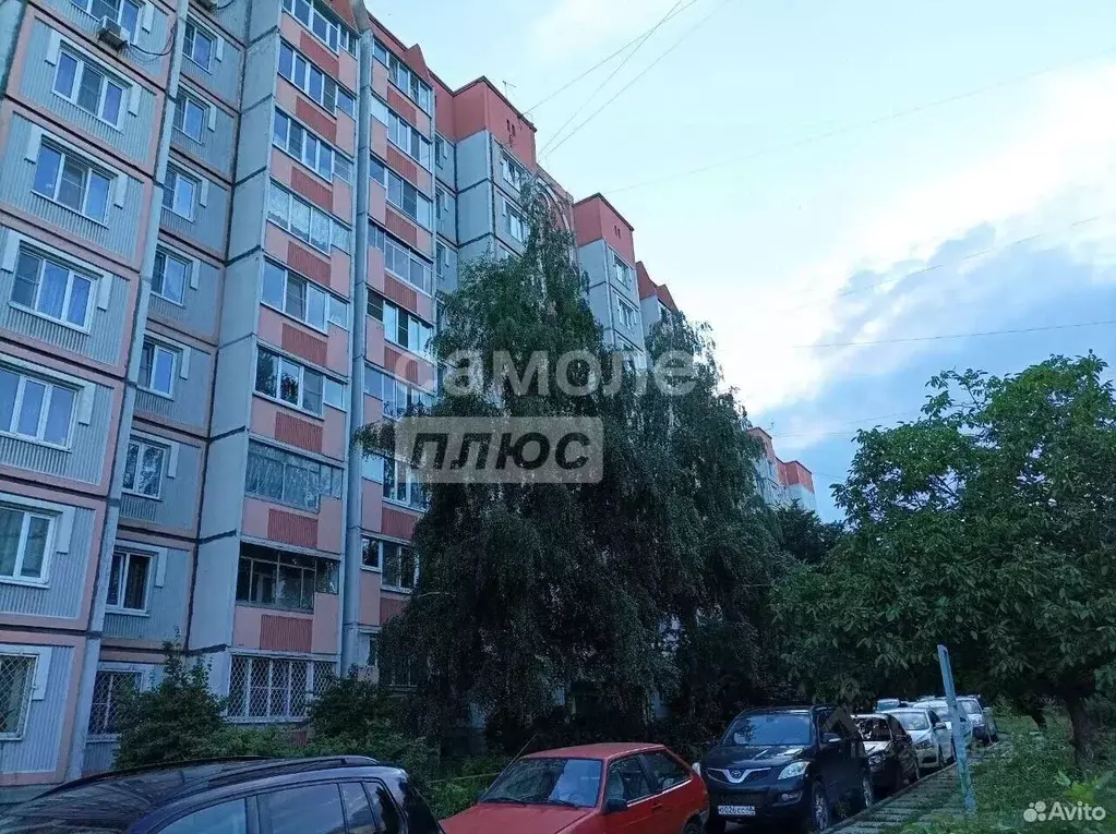 1-к кв. Липецкая область, Липецк ул. Имени Мичурина, 38А (38.0 м) - Фото 1