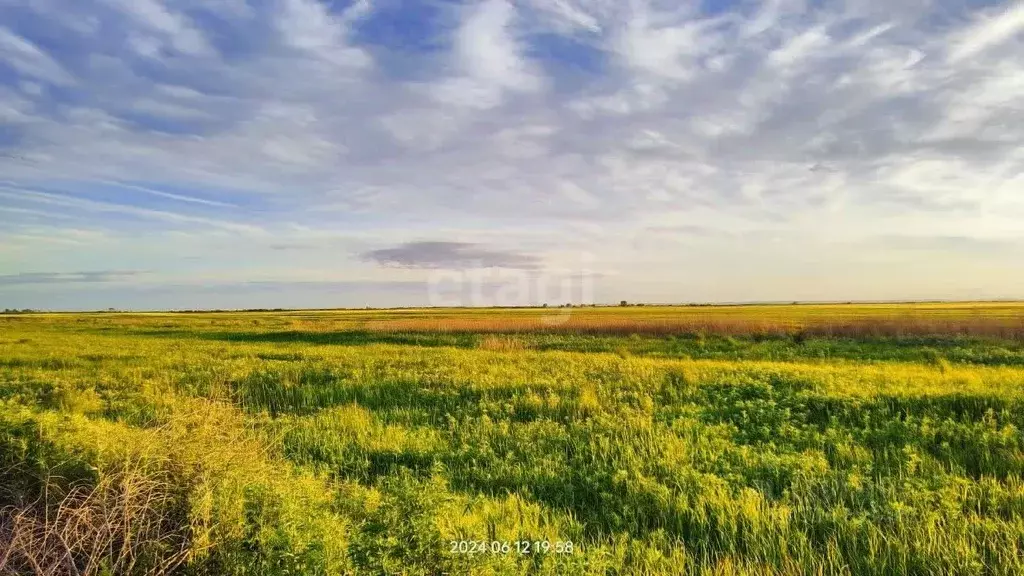 Участок в Амурская область, Благовещенский район, с. Усть-Ивановка  ... - Фото 0