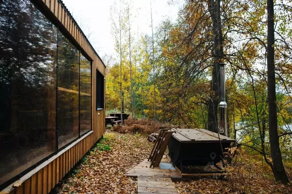 Дом в Нижегородская область, Бор  (48 м) - Фото 2