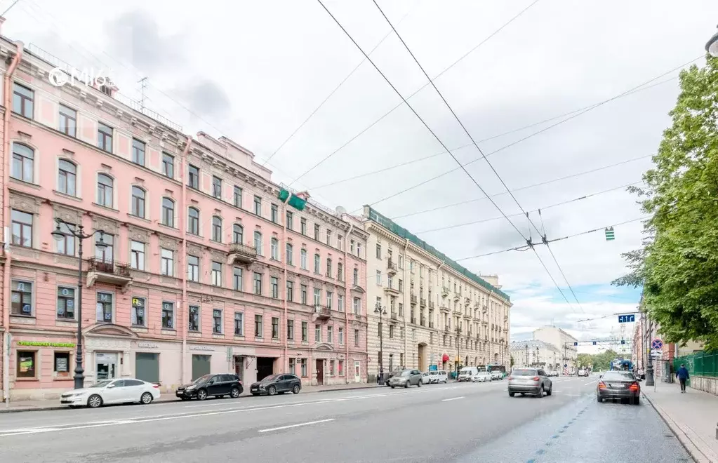 Помещение свободного назначения в Санкт-Петербург Суворовский просп., ... - Фото 2