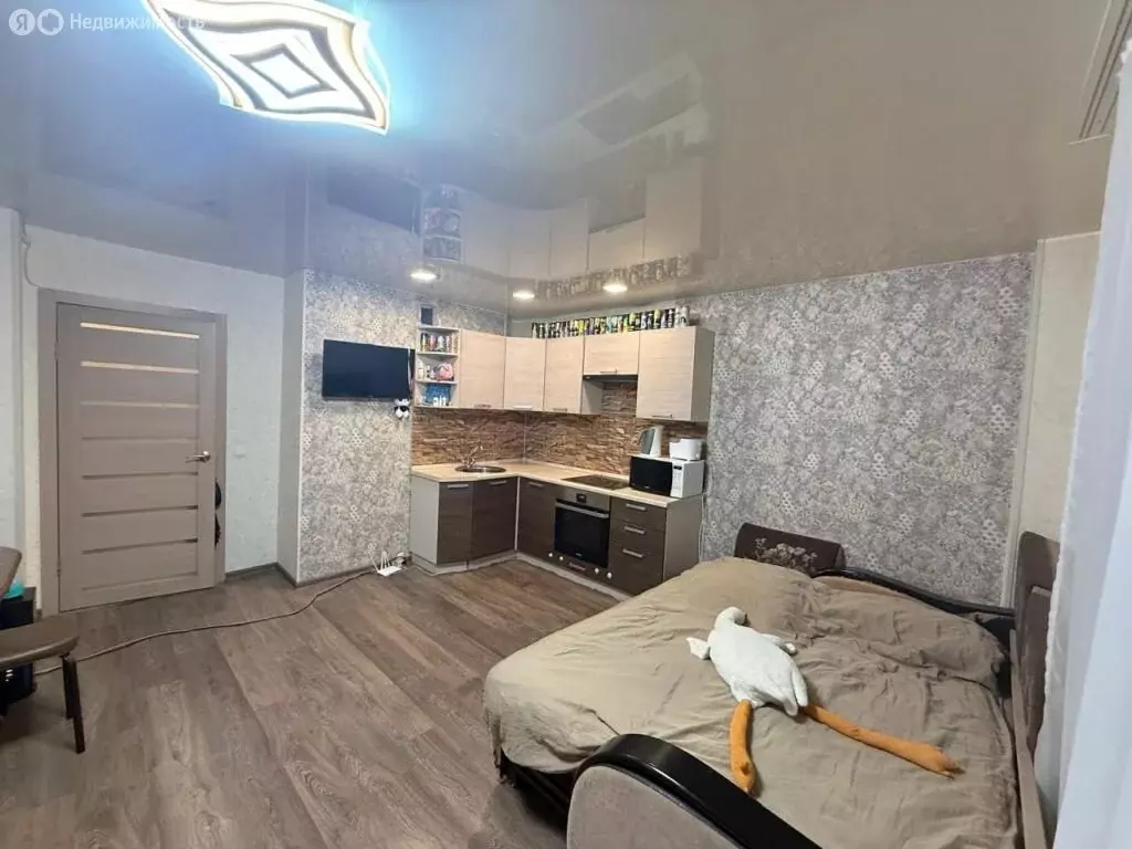 Квартира-студия: Нижний Новгород, Победная улица, 6 (26.9 м) - Фото 1