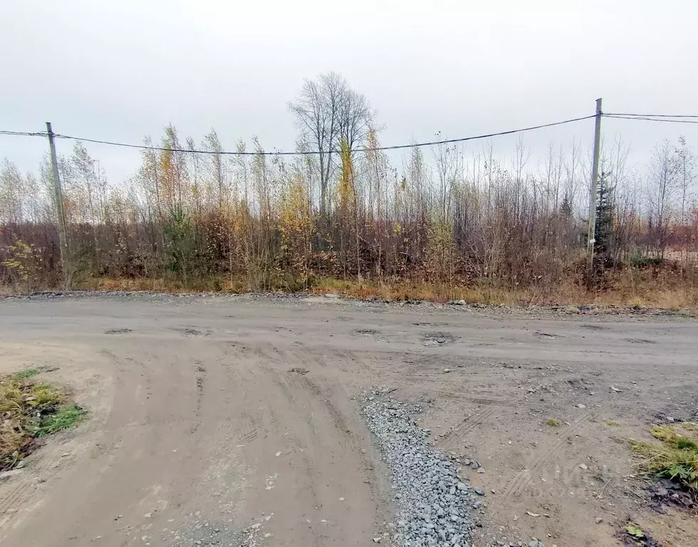 Участок в Карелия, Петрозаводск ул. Алексея Фофанова (10.0 сот.) - Фото 2