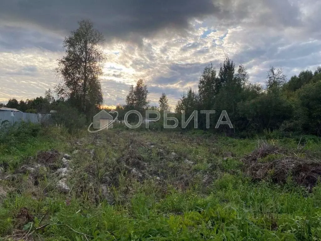 Участок в Тюменская область, Нижнетавдинский район, Мечта ДНТ ул. 6-я ... - Фото 1