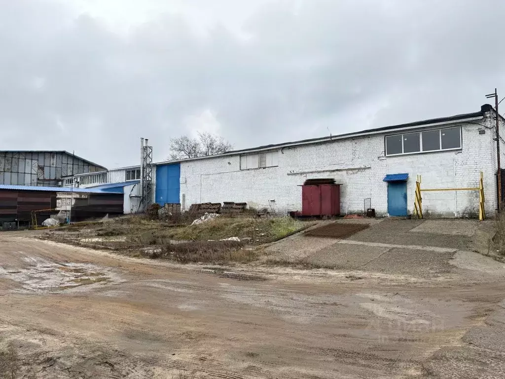 Помещение свободного назначения в Воронежская область, Воронеж Базовая ... - Фото 1