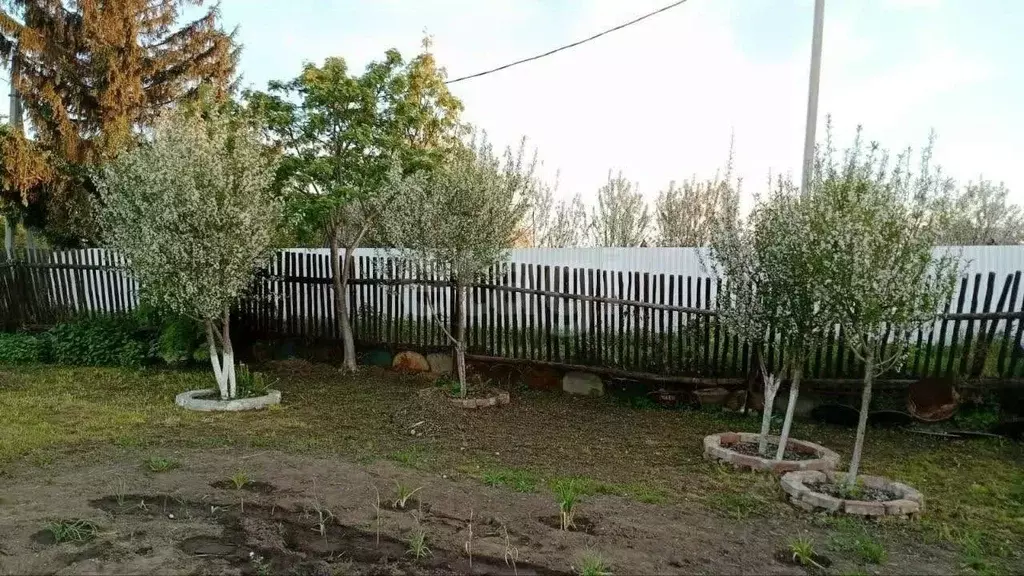 Дом в Новосибирская область, Новосибирск Тополь СНТ,  (30 м) - Фото 1