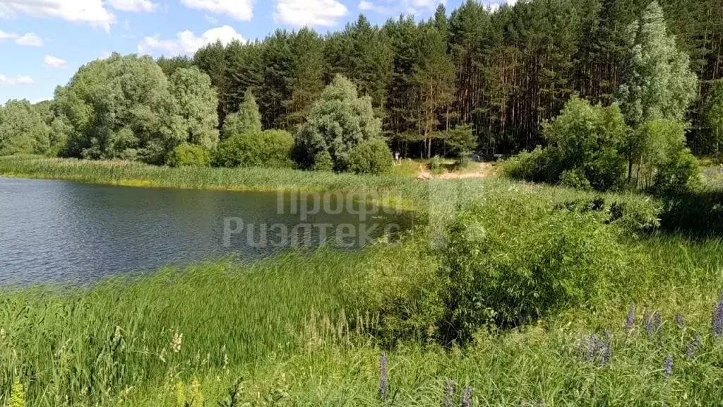 Участок в Нижегородская область, Богородский муниципальный округ, с. ... - Фото 1