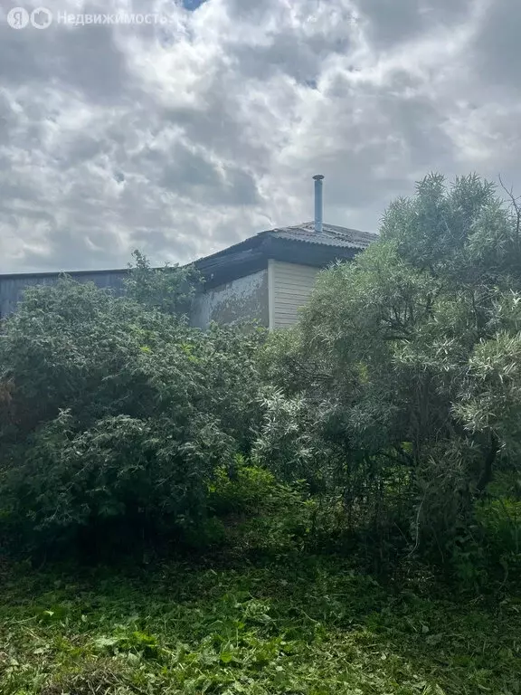 Участок в Ялуторовск, Сельская улица, 5 (22 м) - Фото 0