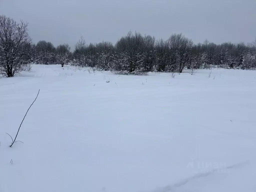 Участок в Московская область, Пушкинский городской округ, д. ... - Фото 1