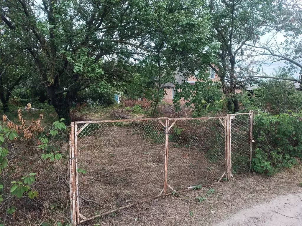 Участок в Ростовская область, Таганрог Дачное-1 СНТ, аллея 1-я, 9 ... - Фото 2