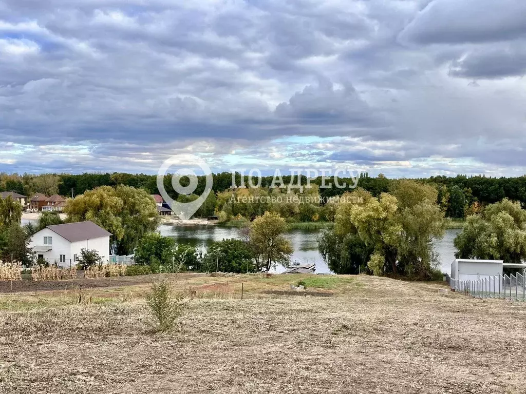 Участок в Саратовская область, Воскресенский район, Елшанское ... - Фото 2