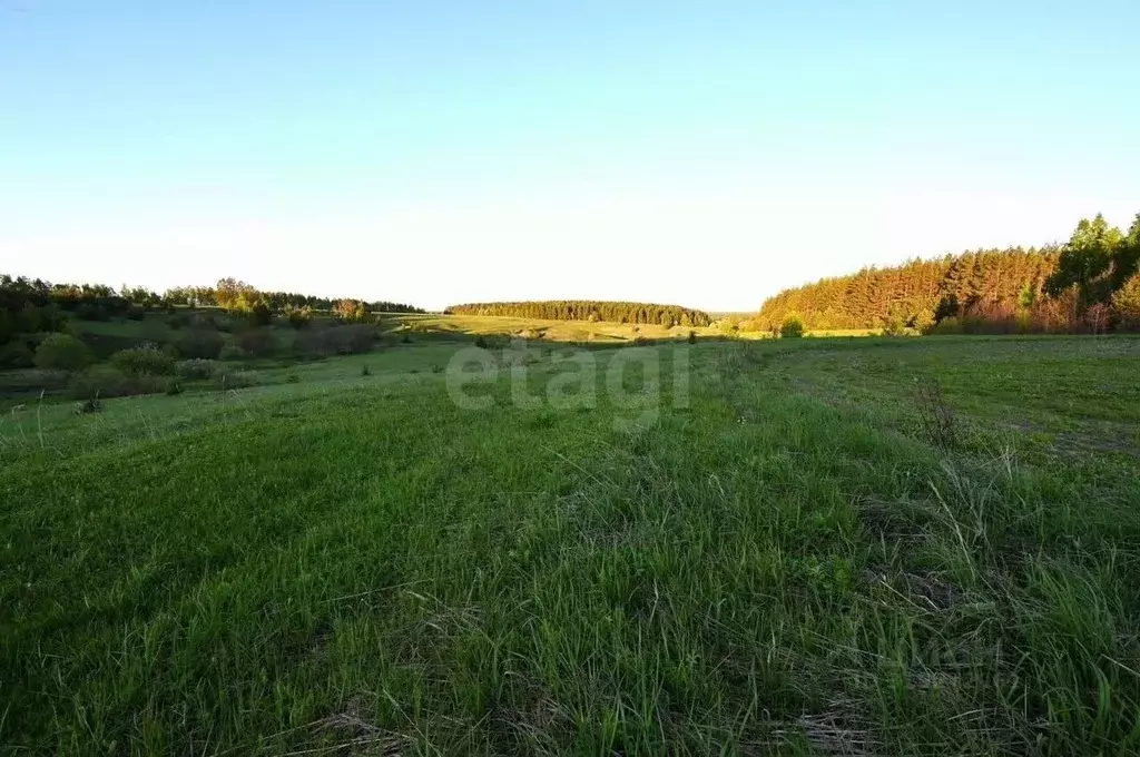 Участок в Татарстан, Лаишевский район, с. Среднее Девятово, ... - Фото 0