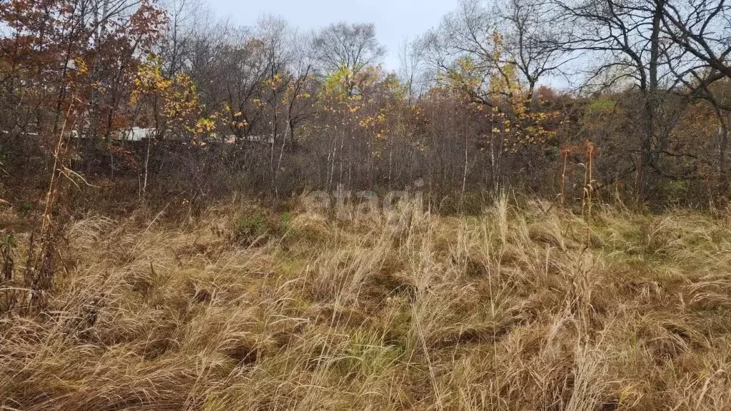 Участок в Приморский край, Надеждинский район, с. Вольно-Надеждинское ... - Фото 0