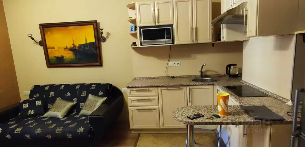 Студия Санкт-Петербург Коломяжский просп., 15к2 (28.0 м) - Фото 1