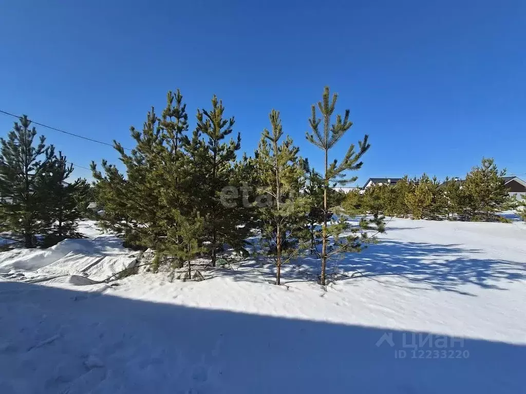 Участок в Свердловская область, Белоярский городской округ, пос. ... - Фото 0