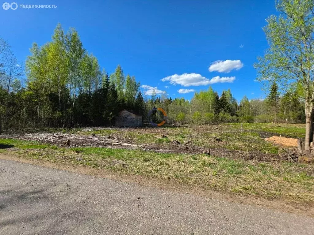 Участок в Новгородская область, Окуловский муниципальный район, ... - Фото 1