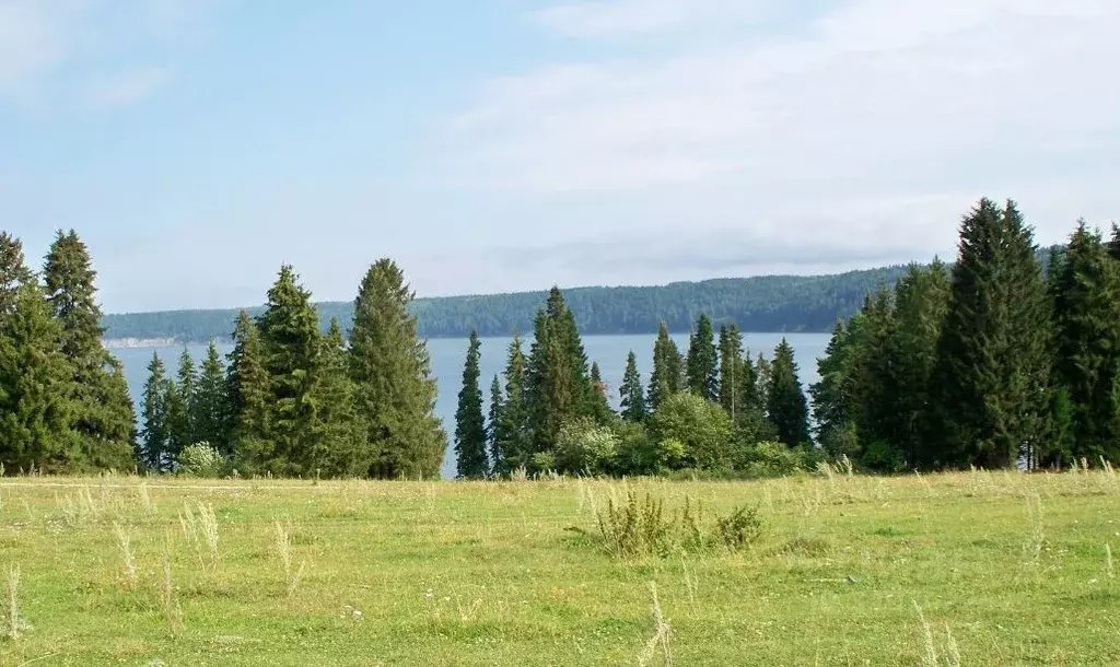 Участок в Пермский край, Кунгурский муниципальный округ, с. Насадка  ... - Фото 2