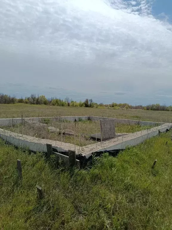 Участок в Ростовская область, Волгодонской район, Романовская ст-ца  ... - Фото 1