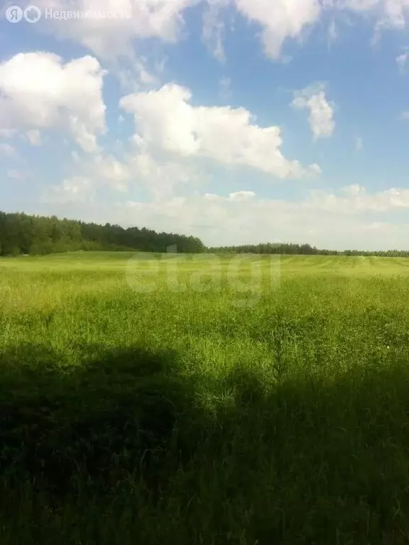 Участок в Кемерово, Журавлёвская улица (15 м) - Фото 1