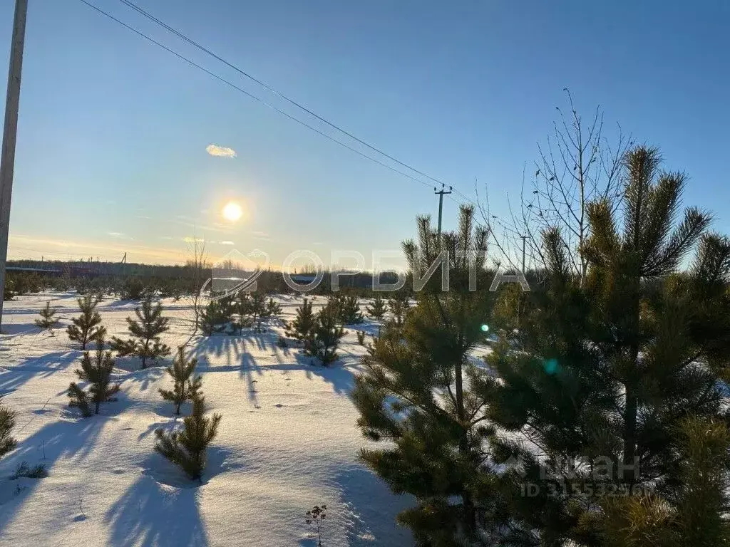 Участок в Тюменская область, Тюменский район, с. Кулига  (10.24 сот.) - Фото 1