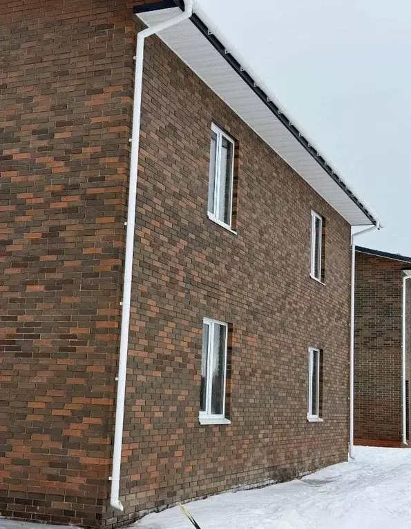 Таунхаус в Тамбовская область, Тамбов городской округ, д. Перикса ул. ... - Фото 2