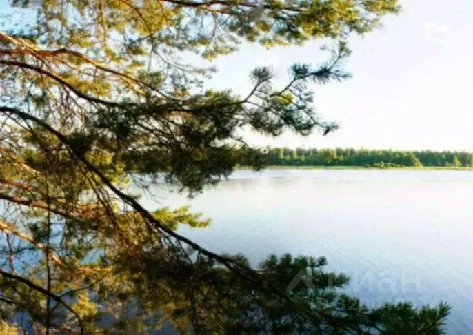 Участок в Иркутская область, Иркутский муниципальный округ, Роял Парк ... - Фото 1