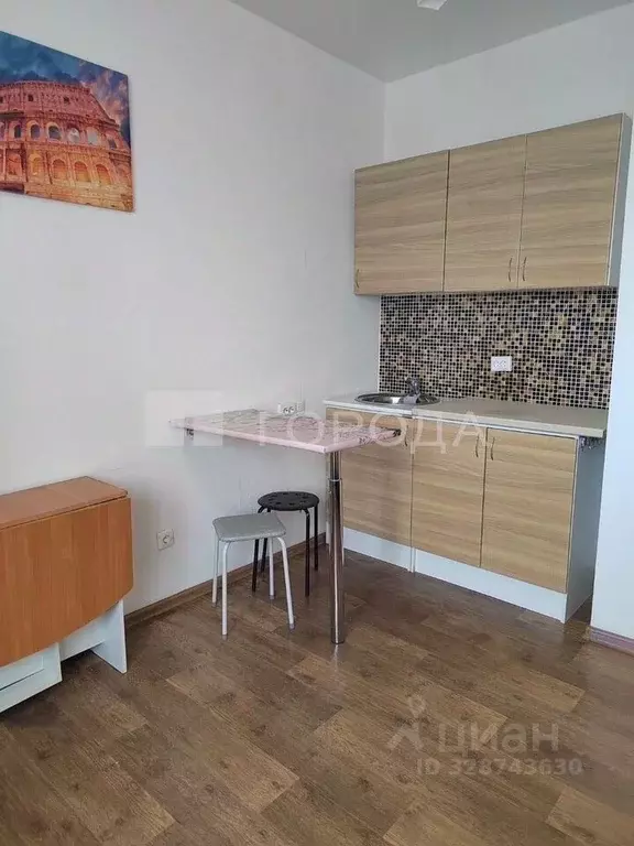 Студия Новосибирская область, Новосибирск ул. Виктора Уса, 11 (19.2 м) - Фото 1