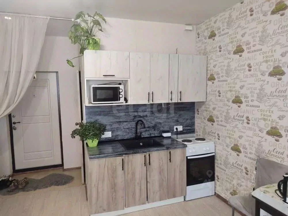 Студия Краснодарский край, Новороссийск Цемдолина тер., пер. ... - Фото 1