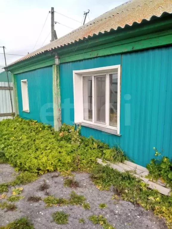 Дом в Курганская область, Петухово Петуховский район, ул. Карла ... - Фото 1