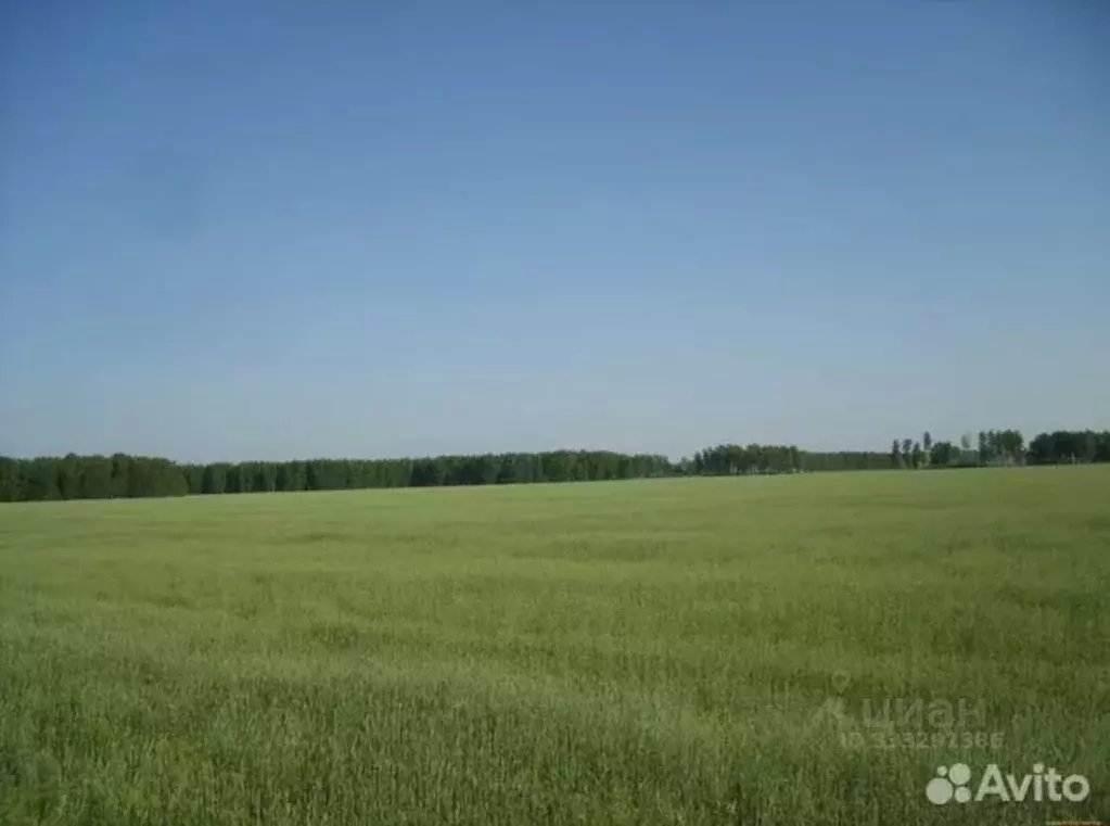 Участок в Башкортостан, Уфимский район, Михайловский сельсовет, д. ... - Фото 1