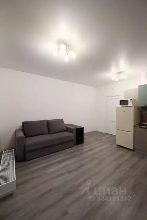 Студия Санкт-Петербург Дальневосточный просп., 23 (24.0 м) - Фото 2