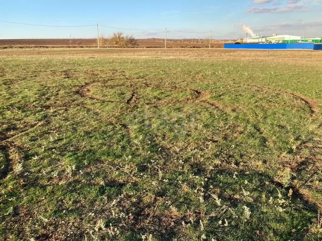 Участок в Ростовская область, Аксайский район, Мишкинское с/пос, Киров ... - Фото 2