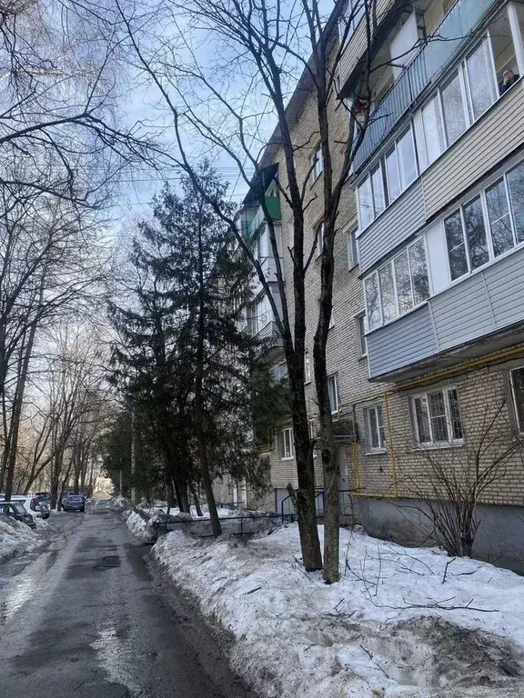 3-к кв. Московская область, Пушкино Московский просп., 53 (62.0 м) - Фото 1