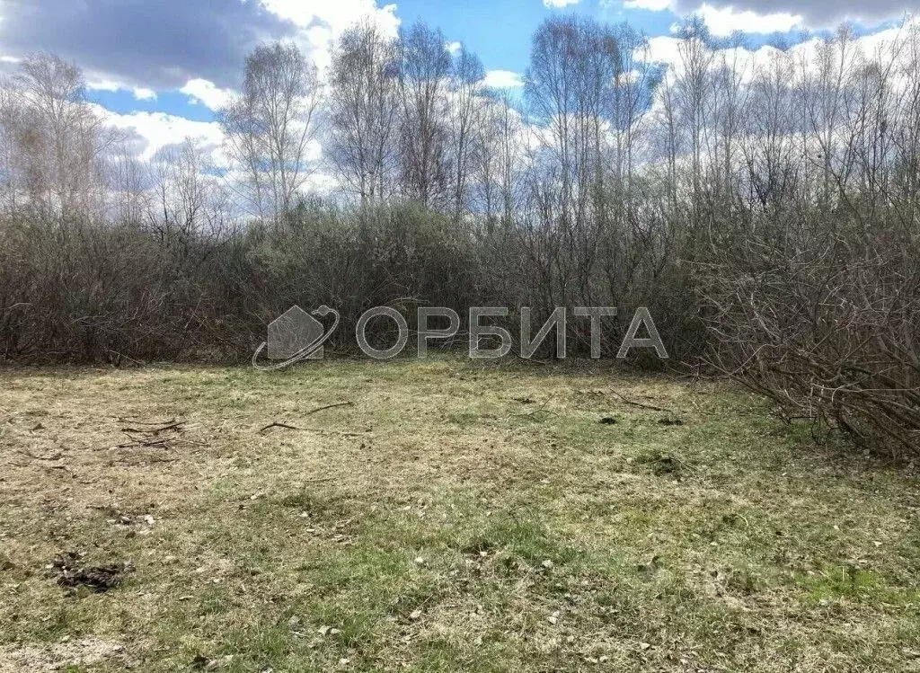 Участок в Тюменская область, Тюмень Поле Чудес садовое товарищество, ... - Фото 1