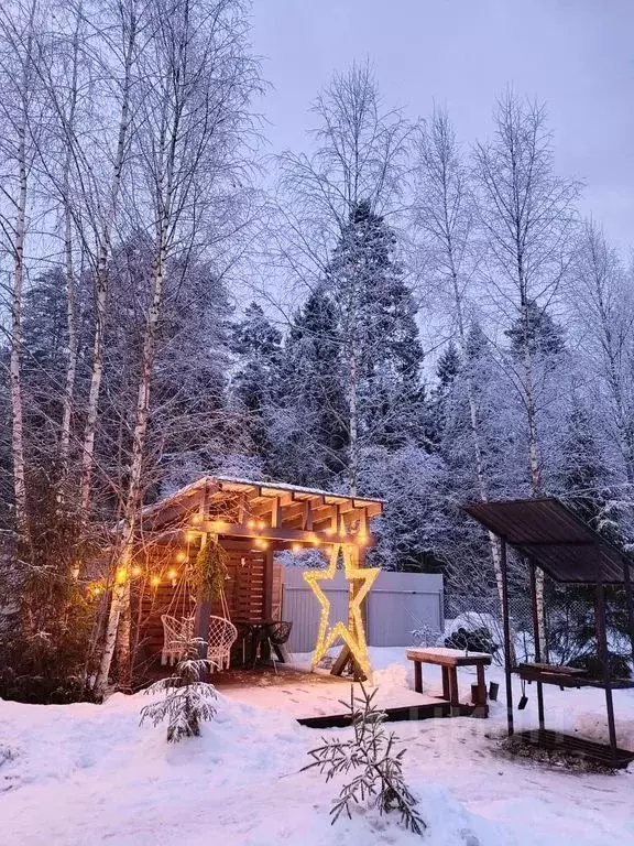 Дом в Московская область, Истра муниципальный округ, пос. Полевшина ... - Фото 2
