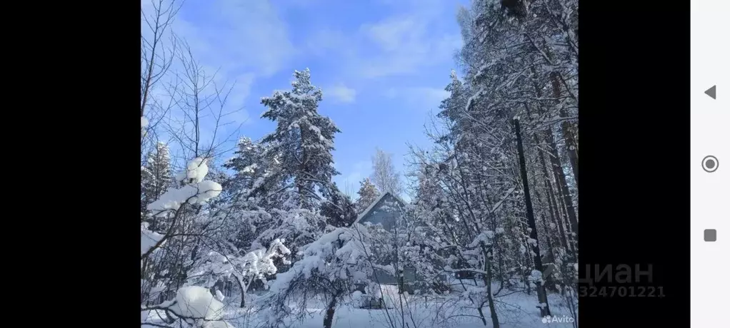 Дом в Ленинградская область, Приозерский район, Сосновское с/пос, ... - Фото 2