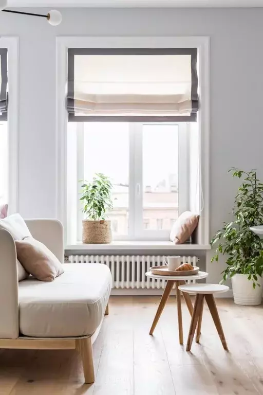 1-к кв. Санкт-Петербург Кузнечный пер., 19-21 (24.0 м) - Фото 2