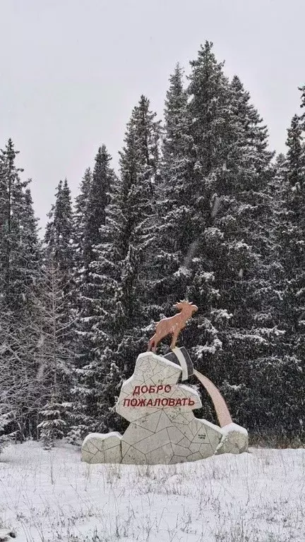 Участок в Свердловская область, Нижние Серги  (15.0 сот.) - Фото 2