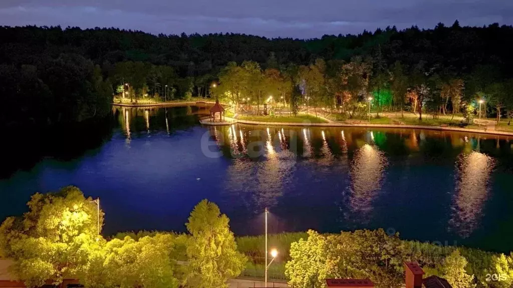 1-к кв. Калининградская область, Светлогорск Подгорная ул., 1 (42.0 м) - Фото 1