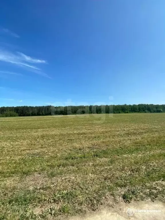 Участок в Москва № 420 кв-л, 83 (5.18 сот.) - Фото 2