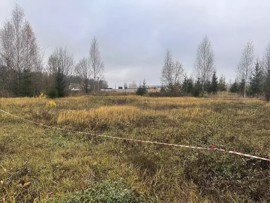 Участок в Владимирская область, Александров ул. Георгиевская (10.0 ... - Фото 2