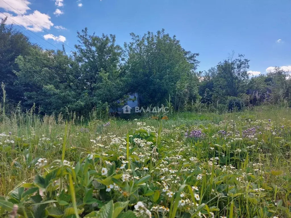 Дом в Пензенская область, Пенза Здоровье СНТ, 20 (20 м) - Фото 1