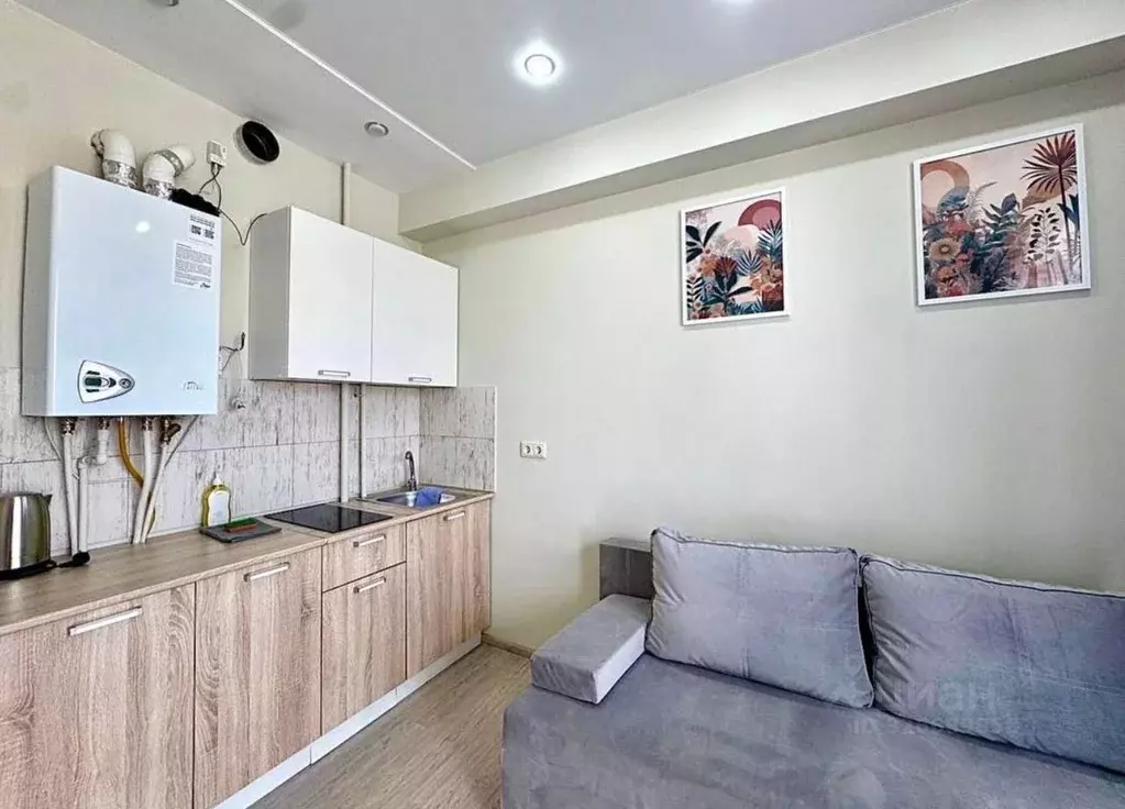 Студия Краснодарский край, Сочи ул. Тимирязева, 34Бк1 (19.6 м) - Фото 2