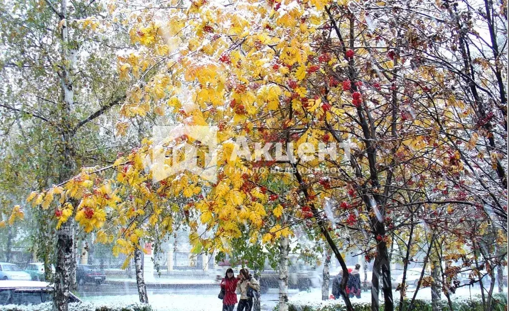 2-к кв. Ивановская область, Иваново Кавалерийская ул., 64 (46.8 м) - Фото 1