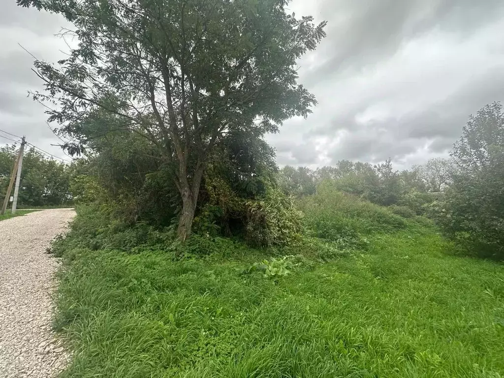 Участок в Московская область, Луховицы муниципальный округ, с. ... - Фото 2