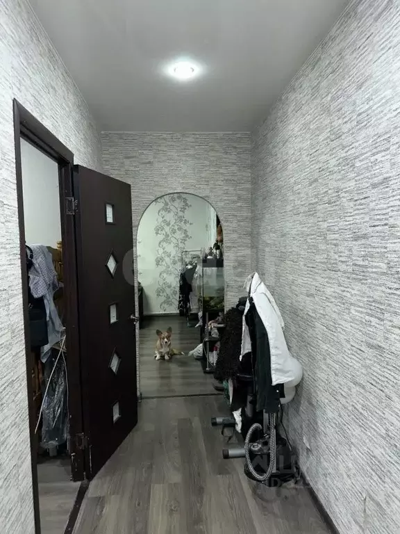 3-к кв. Брянская область, Почеп пер. 2-й Мира, 26 (62.4 м) - Фото 1