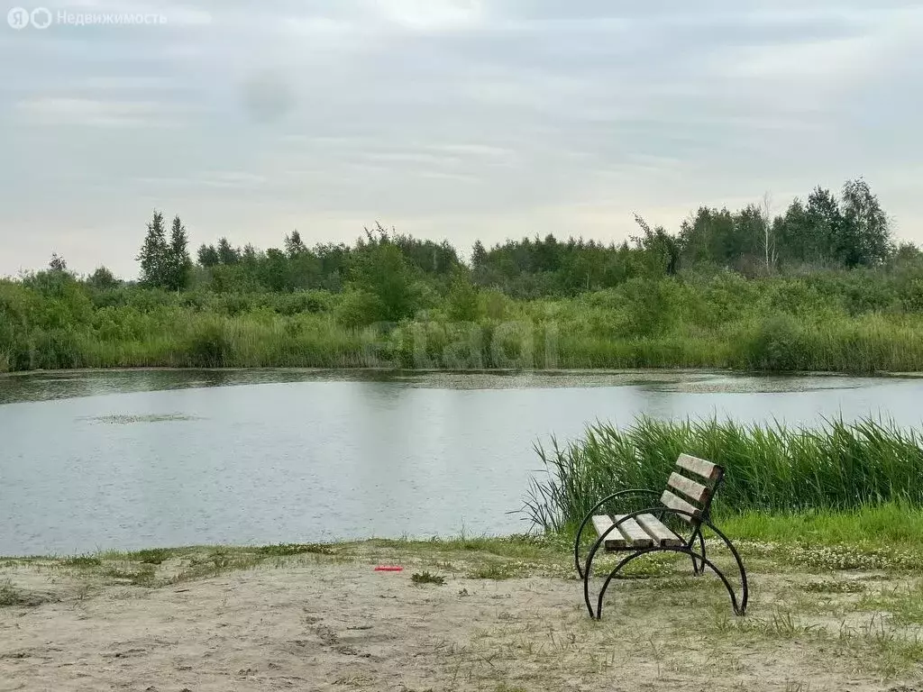 Участок в Тюмень, садовое товарищество Царево, Лунная улица (14.86 м) - Фото 0