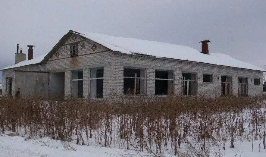 Помещение свободного назначения в Ульяновская область, Карсунский ... - Фото 1