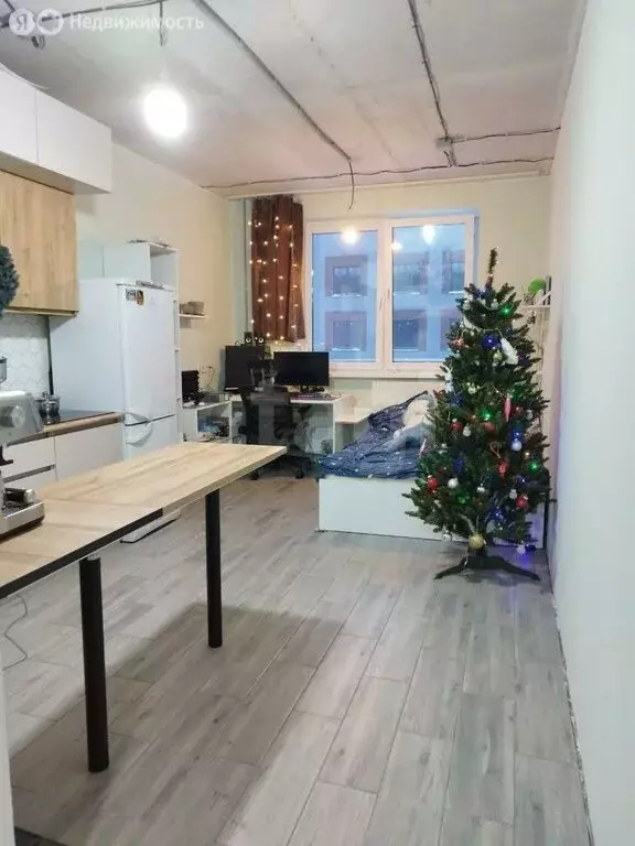 Квартира-студия: село Горьковка, Светлая улица, 10к1 (26.7 м) - Фото 2